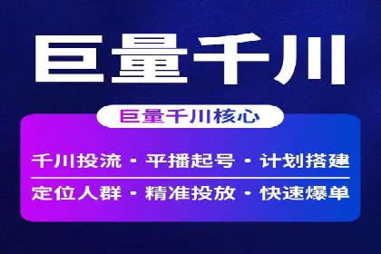 百度竞价广告运营全解析：成功案例揭秘